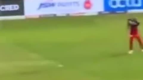 virat kohli catch