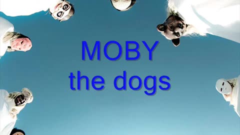 Moby Dog the whoods video