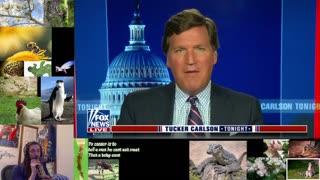 Tucker Carlson Tonight 3/16/2023 Watchalong