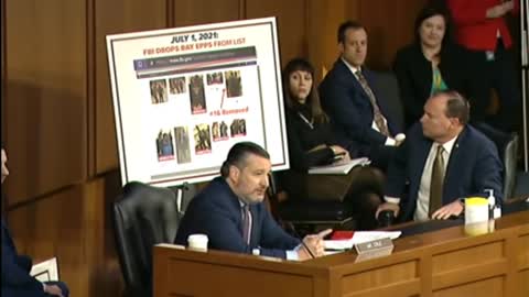 Ted Cruz questions the fbi about their involvement in January 6th