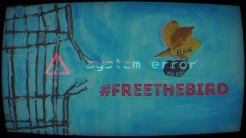 #FreeTheBird #ElonMusk #TwitterFiles