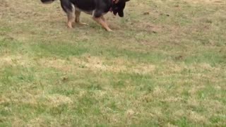 Fiona with her rock