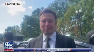 Elon Musk Asked If AI Will Kill Us All While Leaving AI Regulation Meeting