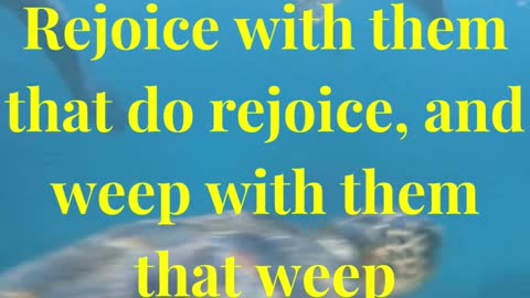 Rejoice with them that do rejoice, and weep with them that weep