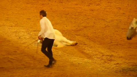 Jean-François Pignon. London International Horse Show