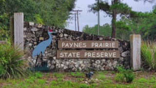 Paynes Prairie Preserve State Park 100 Savannah Boulevard, Micanopy, FL 32667 Phone 352-466-3397