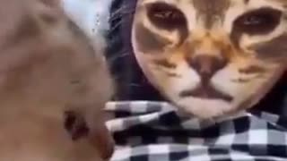 Cat reacts to Cat Face Filter LOL