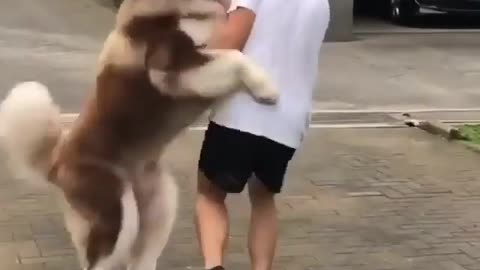 Dancing with my dog