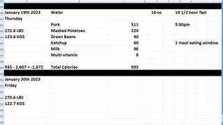 Daily Calorie Count: January 19th