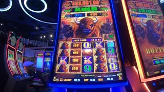 Buffalo Cash Slot Machine Play Low Roller Bonuses Free Games Jackpots!