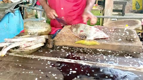 Bat Fish Cutting Skills _ Fish Cutting Skills (1)