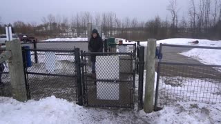 THE GREAT CANADIAN DOG PARK