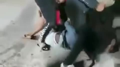 Girl Fight In The Hood