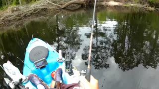 Waccamaw river fishing in April