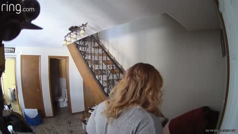 Smart Dog Steals Hot Dog After Slip on Stairs