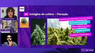 Dia 05 Torne-se um Grower - Floração, colheita e cura - Com Def Weed