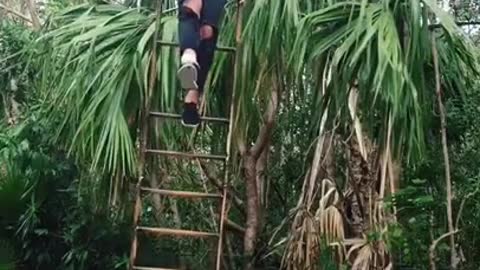 Guy Shows Cool Trick With Ball While Balancing on Ladde