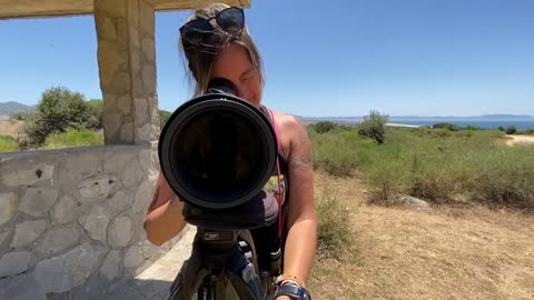 Birding in Andalucia - Inglorious Bustards - Blue Sky Wildlife