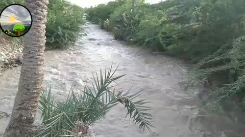 Water flow into canal || best view || check speed of water