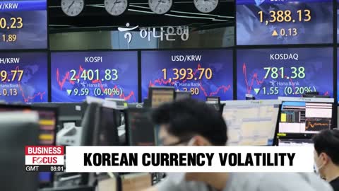 S. Korea's FX authorities warn against herd behavior amid excessive decline in local currency