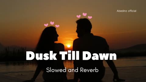Dusk till dawn Song|| ZAYN