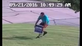 Clinton, Trump Yard Sign Thieves Keep Stealing Signs