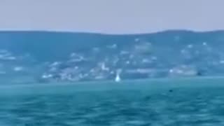 A Balatonba zuhant egy rendőrségi helikopter