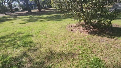 City Hall Park, Camden South Carolina