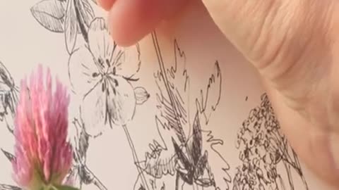 Flower Study Sketching | Rumble Short | Shorts | Amazing Sketching | Creative Fine Art | Art Work