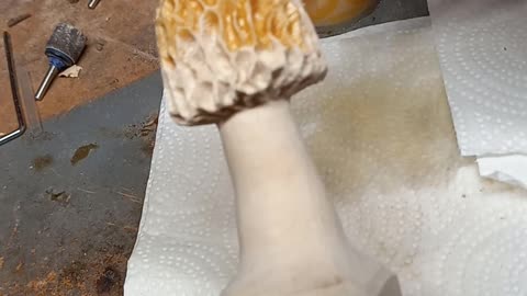 Adding color to a carved Morel mushroom