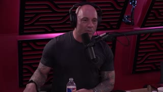 Joe Rogan on the Status of the 2020 Election