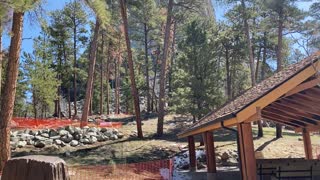 Devils Tower and Deadwood