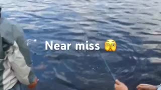 Bite and Miss - Pike attacked on hooked rock bass