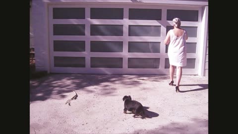 The Mid Century Women Cleaning Windows