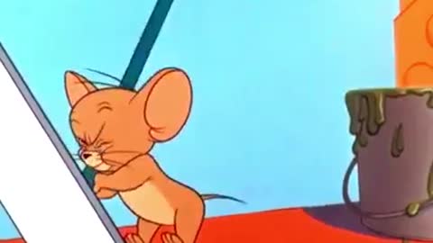 Tom and Jerry Cartoon Video