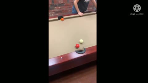 Dog pulls off very impressive billiard rail shot