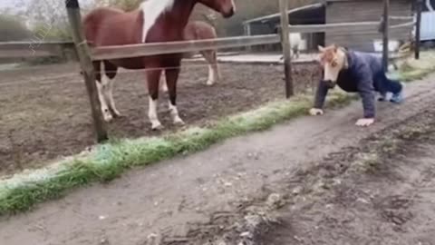 Funny Animal videos That Will Make You Laugh 😂 #4 #2022