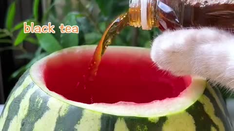 Meow 🍉Awesome Iced Watermelon Party Keg😍 _ Easy Summer Drinks _ Cat Cooking-TikTok #Shorts