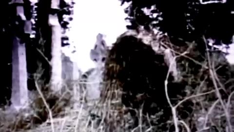 "Ghosts & Demons of Ireland" ● RARE 1970s RTE Documentary! COMPLETE!!!