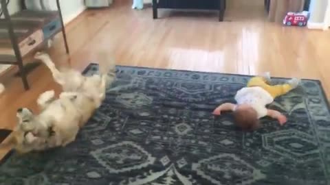 "Laughs & Playtime: Funny Babies and their Playful Pup Companions"