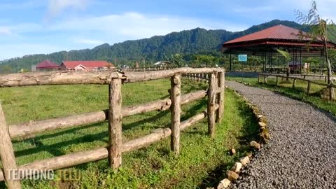 there is a sheep farm similar to new zealand, this is a beautiful village in banyumas, central java
