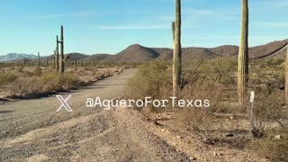 Arizona border invasion