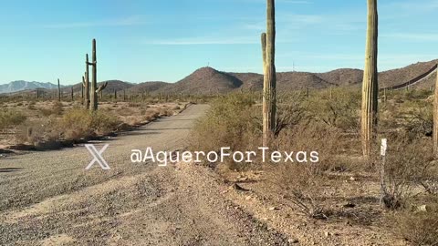 Arizona border invasion