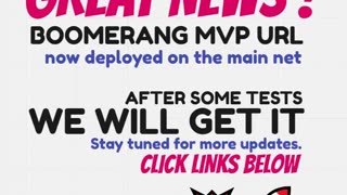 BOOMERANG - GREAT NEWS ! - MVP URL NOW ON MAIN NET - AI BOT PROFITS - TOP TEAM ROB BUSER