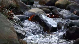 Medium River Stream Sounds for sleeping ( 7 Hours )