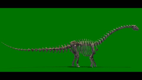 skeleton keying frame dinosaur walking composite