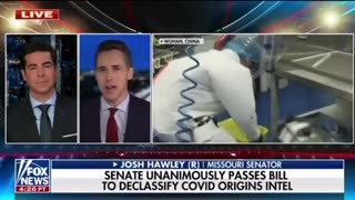 BREAKING: Senate Unanimously Passes Bill to Declassify COVID Origins Intelligence