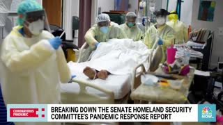 Senate Report Highlights Covid Pandemic Failures