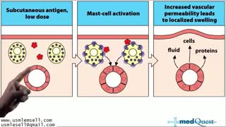 Immunological - MedQuest