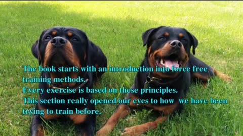 Brain training for dogs review:develop your dog's hidden intelligence to eliminate bad behavior